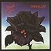 Black Rose: A Rock Legend vendi