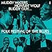 Folk Festival of the Blues (Recorded Live) Vender