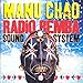 Radio Bemba Sound System Vender