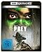 Prey (4K Ultra HD) + (Blu-ray) verkaufen
