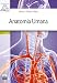 Anatomia umana vendi