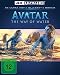 Avatar - The Way of Water (4K Ultra HD) (+ Blu-ray) (+ Bonus-Blu-ray) verkopen